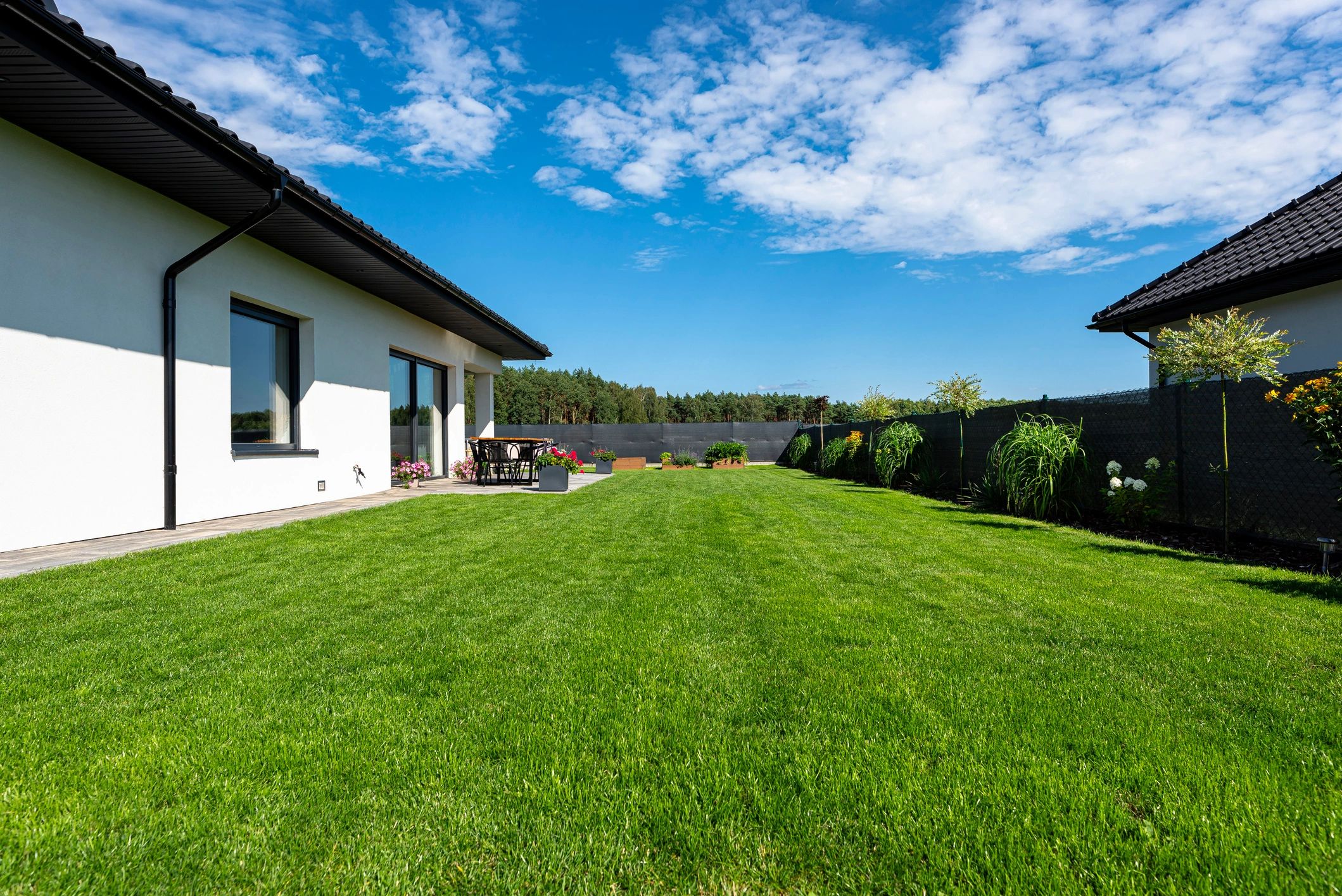 Backyard and patio with modern home in summer